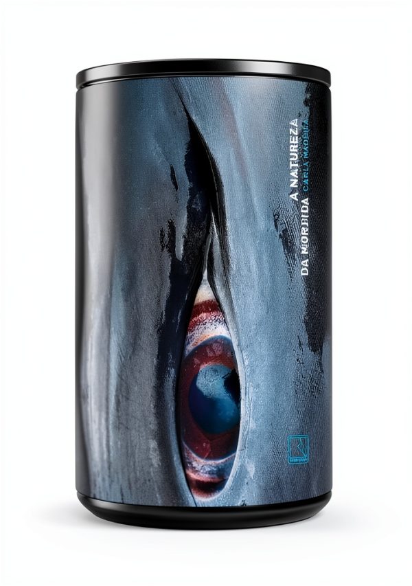 Record Portuguese Fiction Kindle eBook 2022 Edition 231 Pages-0